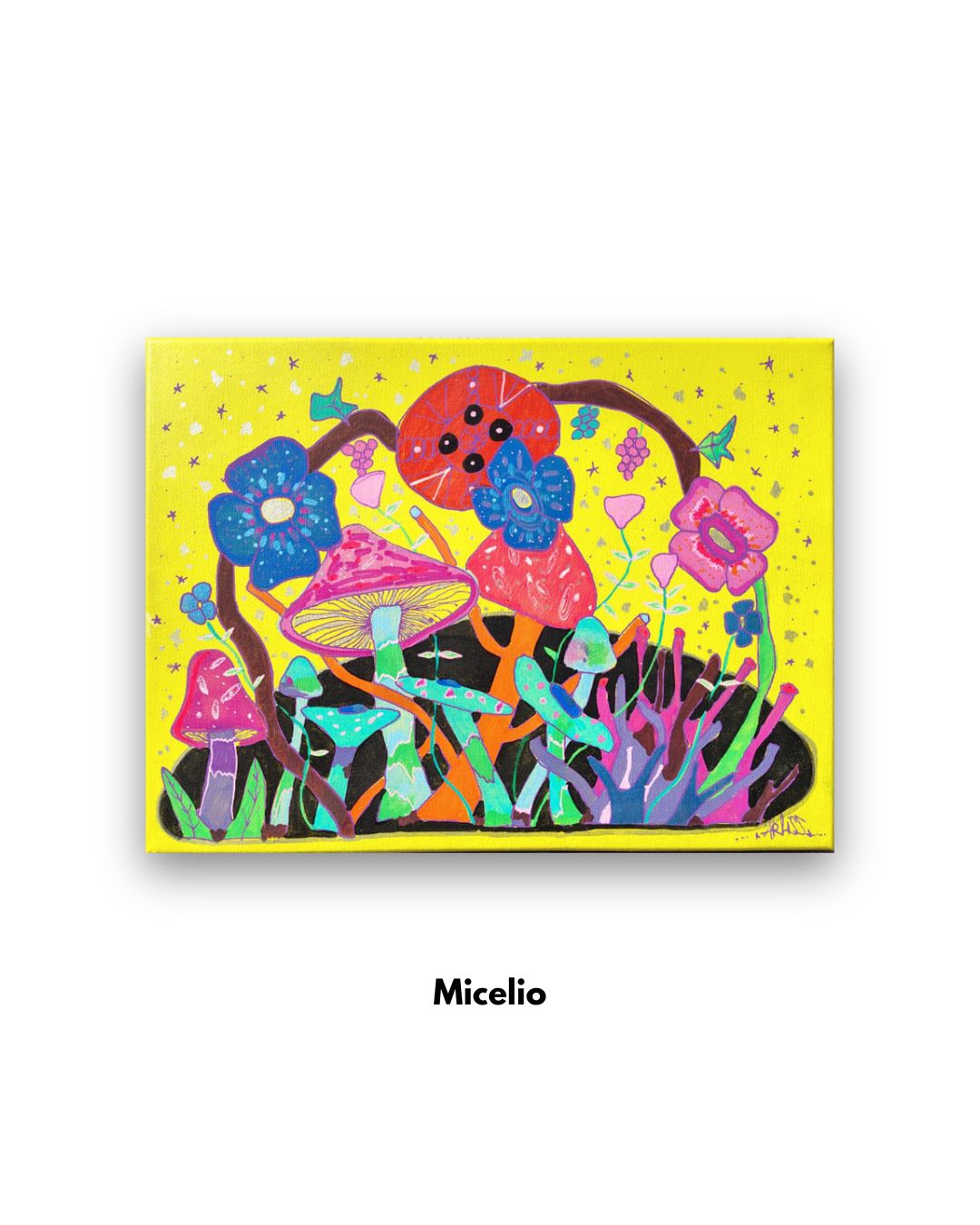Micelio