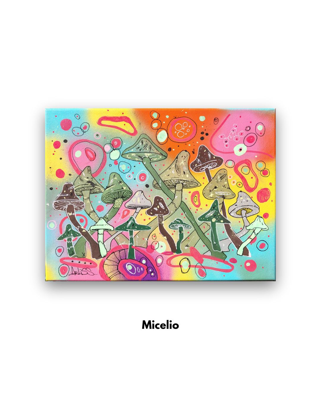 Micelio